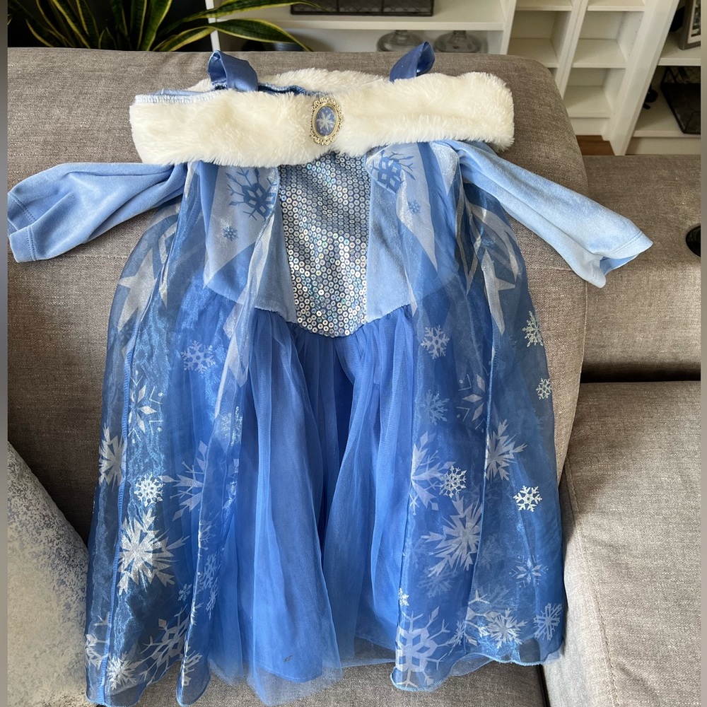 Elsa - Frozen Costume